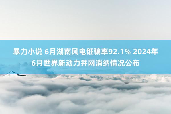 暴力小说 6月湖南风电诳骗率92.1% 2024年6月世界新动力并网消纳情况公布