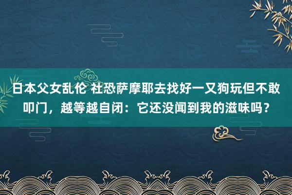 日本父女乱伦 社恐萨摩耶去找好一又狗玩但不敢叩门，越等越自闭：它还没闻到我的滋味吗？