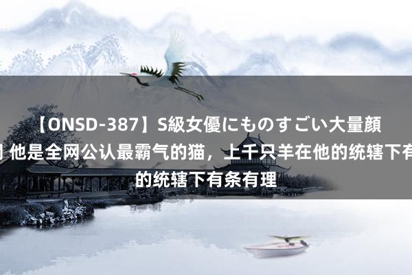 【ONSD-387】S級女優にものすごい大量顔射4時間 他是全网公认最霸气的猫，上千只羊在他的统辖下有条有理