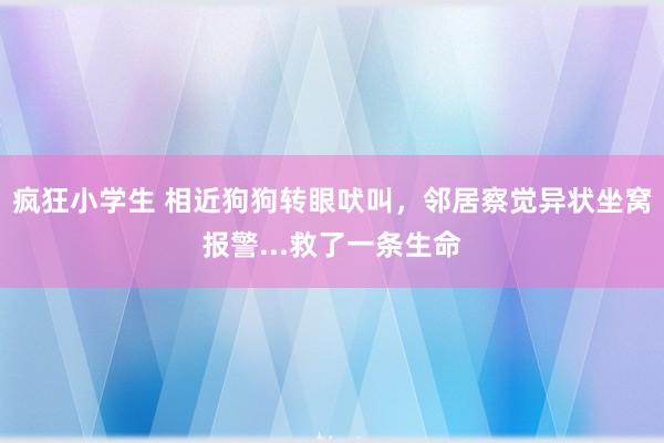 疯狂小学生 相近狗狗转眼吠叫，邻居察觉异状坐窝报警...救了一条生命