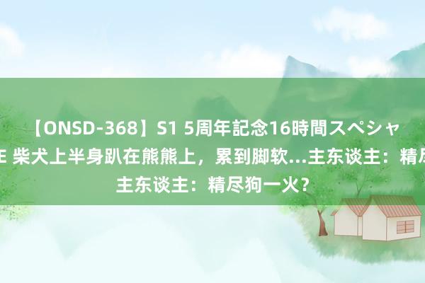 【ONSD-368】S1 5周年記念16時間スペシャル WHITE 柴犬上半身趴在熊熊上，累到脚软...主东谈主：精尽狗一火？