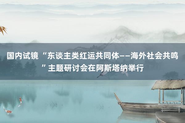 国内试镜 “东谈主类红运共同体——海外社会共鸣”主题研讨会在阿斯塔纳举行