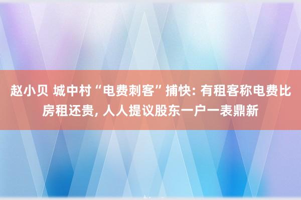 赵小贝 城中村“电费刺客”捕快: 有租客称电费比房租还贵， 人人提议股东一户一表鼎新