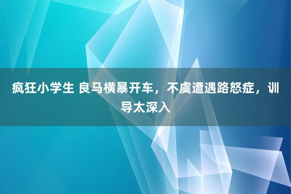 疯狂小学生 良马横暴开车，不虞遭遇路怒症，训导太深入