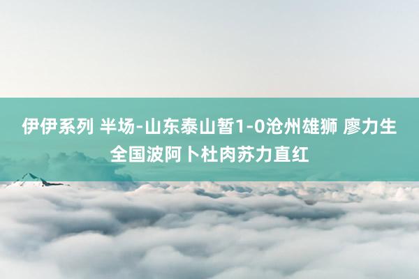 伊伊系列 半场-山东泰山暂1-0沧州雄狮 廖力生全国波阿卜杜肉苏力直红