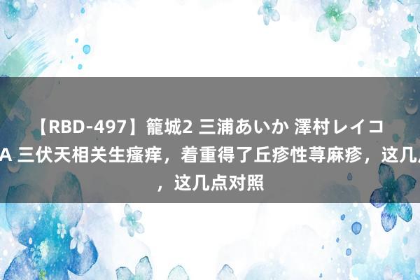 【RBD-497】籠城2 三浦あいか 澤村レイコ ASUKA 三伏天相关生瘙痒，着重得了丘疹性荨麻疹，这几点对照