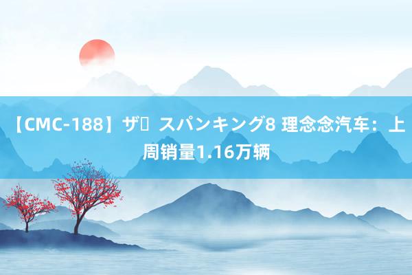 【CMC-188】ザ・スパンキング8 理念念汽车：上周销量1.16万辆