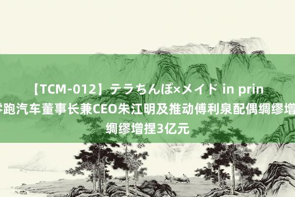 【TCM-012】テラちんぽ×メイド in prin MIKA 零跑汽车董事长兼CEO朱江明及推动傅利泉配偶绸缪增捏3亿元