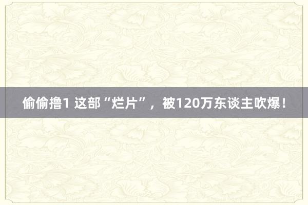 偷偷撸1 这部“烂片”，被120万东谈主吹爆！